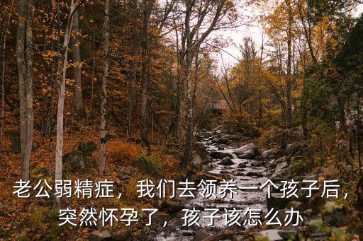 老公弱精癥，我們去領養一個孩子后，突然懷孕了，孩子該怎么辦