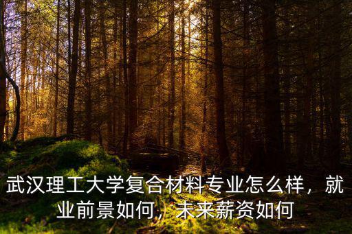 武漢理工大學(xué)復(fù)合材料專業(yè)怎么樣，就業(yè)前景如何，未來薪資如何