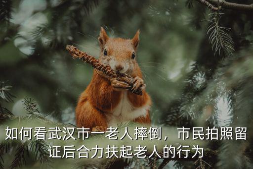 如何看武漢市一老人摔倒，市民拍照留證后合力扶起老人的行為