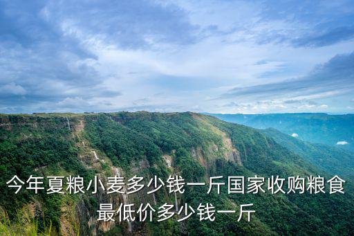 今年夏糧小麥多少錢一斤國家收購糧食最低價(jià)多少錢一斤