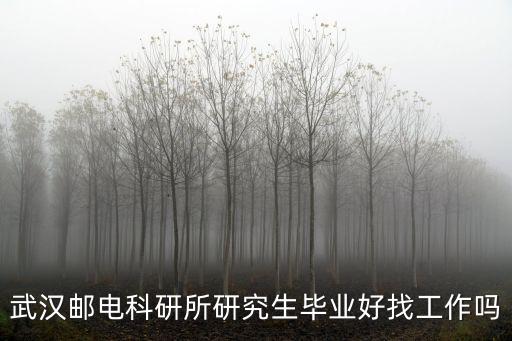 武漢郵電科研所研究生畢業(yè)好找工作嗎