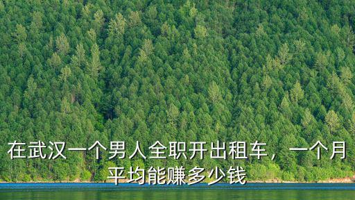 在武漢買輛出租車請人開怎么樣,在武漢一個男人全職開出租車