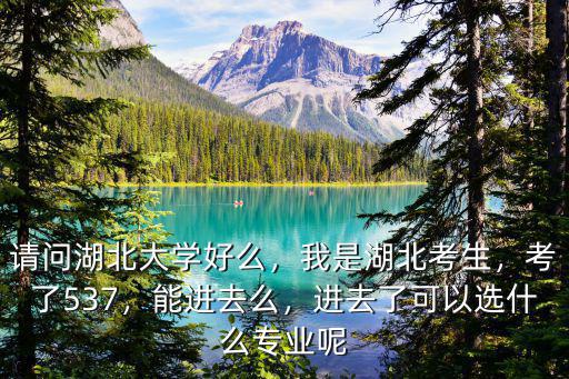 請問湖北大學好么，我是湖北考生，考了537，能進去么，進去了可以選什么專業呢