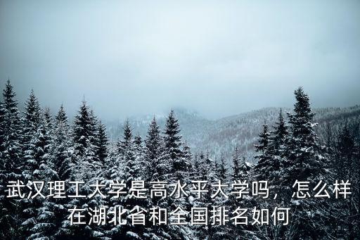 武漢理工大學是高水平大學嗎，怎么樣在湖北省和全國排名如何