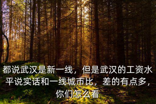 都說武漢是新一線，但是武漢的工資水平說實話和一線城市比，差的有點多，你們怎么看