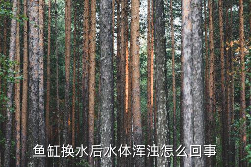 魚缸換水后水體渾濁怎么回事
