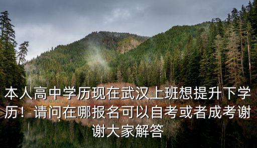 本人高中學歷現(xiàn)在武漢上班想提升下學歷！請問在哪報名可以自考或者成考謝謝大家解答