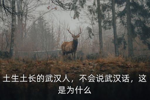 土生土長(zhǎng)的武漢人，不會(huì)說(shuō)武漢話，這是為什么