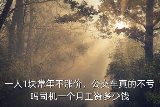 一人1塊常年不漲價，公交車真的不虧嗎司機一個月工資多少錢