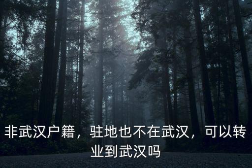 非武漢戶籍，駐地也不在武漢，可以轉業到武漢嗎