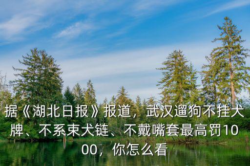 武漢狗證年檢怎么辦理,武漢怎么辦理狗證