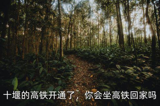 十堰的高鐵開通了，你會坐高鐵回家嗎