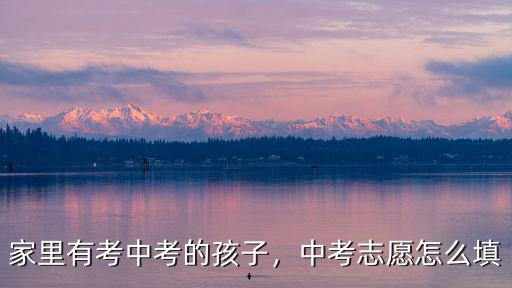 家里有考中考的孩子，中考志愿怎么填