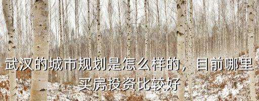 武漢的城市規(guī)劃是怎么樣的，目前哪里買房投資比較好