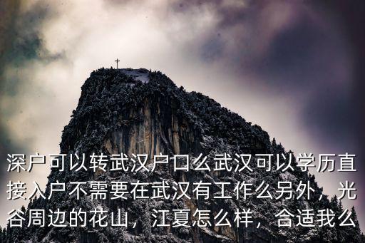 深戶可以轉武漢戶口么武漢可以學歷直接入戶不需要在武漢有工作么另外，光谷周邊的花山，江夏怎么樣，合適我么