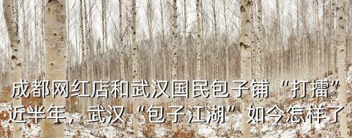 武漢握鋪網絡怎么樣,武漢黃陂區的發展趨勢怎么樣