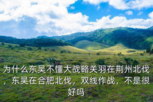 為什么東吳不懂大戰略關羽在荊州北伐，東吳在合肥北伐，雙線作戰，不是很好嗎
