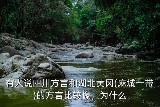 有人說四川方言和湖北黃岡(麻城一帶)的方言比較像，為什么