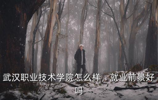 武漢職業(yè)技術學院怎么樣，就業(yè)前景好嗎