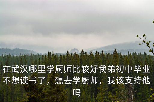 在武漢哪里學廚師比較好我弟初中畢業不想讀書了，想去學廚師，我該支持他嗎