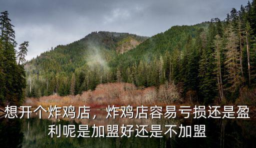 想開個炸雞店，炸雞店容易虧損還是盈利呢是加盟好還是不加盟