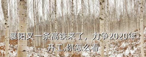 襄陽又一條高鐵來了，力爭2020年開工,你怎么看