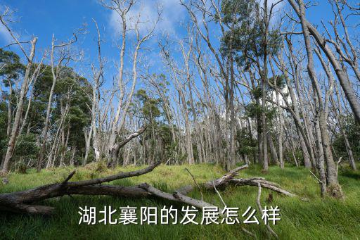 湖北襄陽的發(fā)展怎么樣