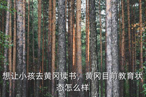 想讓小孩去黃岡讀書，黃岡目前教育狀態怎么樣