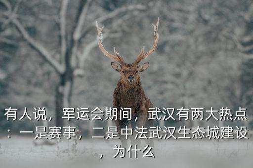 武漢中法生態城發展怎么樣,二是中法武漢生態城建設