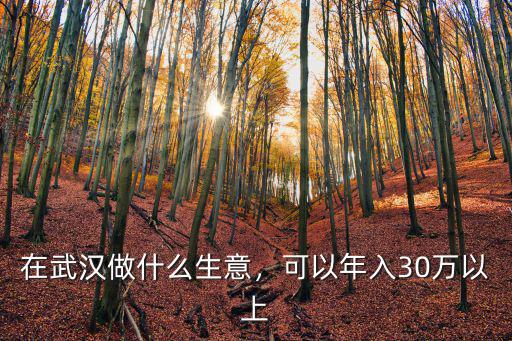 在武漢做什么生意，可以年入30萬以上