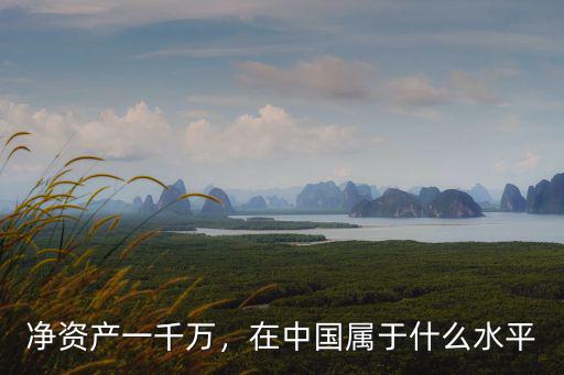 凈資產(chǎn)一千萬，在中國屬于什么水平