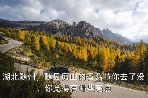 湖北隨州，隨縣厲山的香菇節(jié)你去了沒，你覺得有哪些亮點