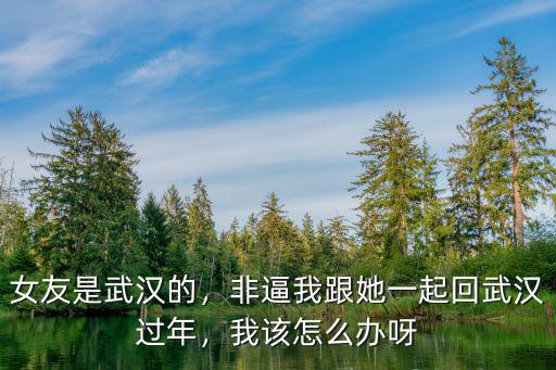 女友是武漢的，非逼我跟她一起回武漢過年，我該怎么辦呀