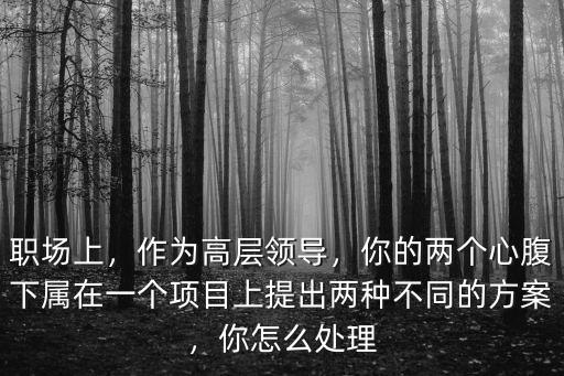 職場上，作為高層領導，你的兩個心腹下屬在一個項目上提出兩種不同的方案，你怎么處理