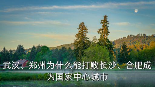 武漢、鄭州為什么能打敗長沙、合肥成為國家中心城市