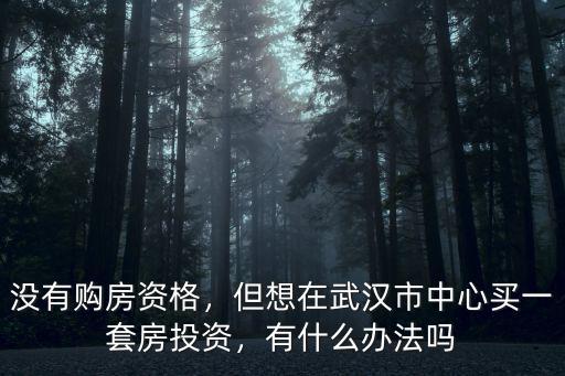 沒(méi)有購(gòu)房資格，但想在武漢市中心買(mǎi)一套房投資，有什么辦法嗎