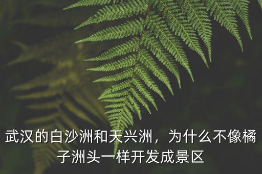 武漢天興洲車怎么上去,武漢天興洲為什么會漂移