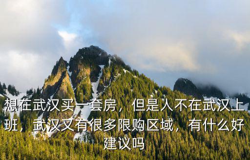 想在武漢買一套房，但是人不在武漢上班，武漢又有很多限購區域，有什么好建議嗎