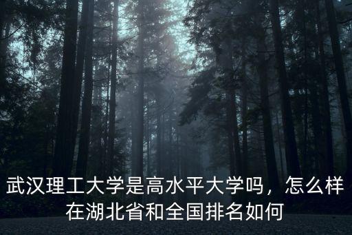 武漢理工大學是高水平大學嗎，怎么樣在湖北省和全國排名如何