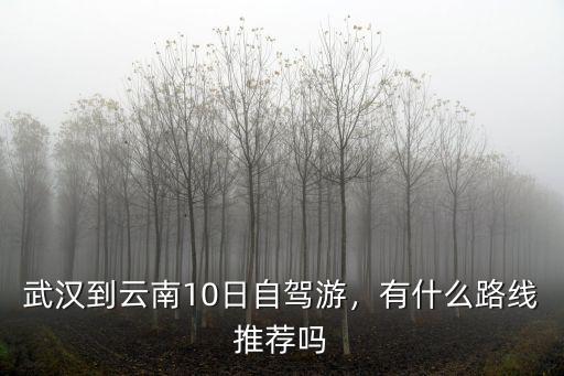 武漢到云南10日自駕游，有什么路線推薦嗎