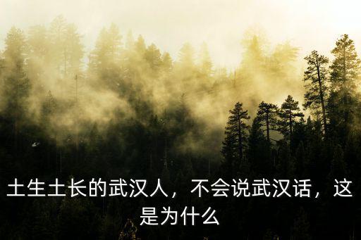 土生土長(zhǎng)的武漢人，不會(huì)說(shuō)武漢話，這是為什么