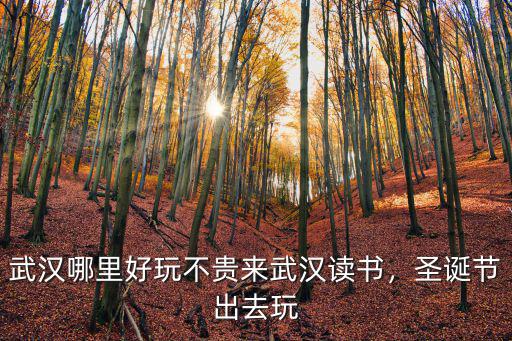 武漢哪里好玩不貴來武漢讀書，圣誕節出去玩