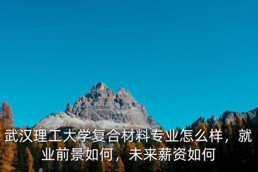 武漢理工大學趙莉怎么樣,武漢理工大學口碑怎么樣