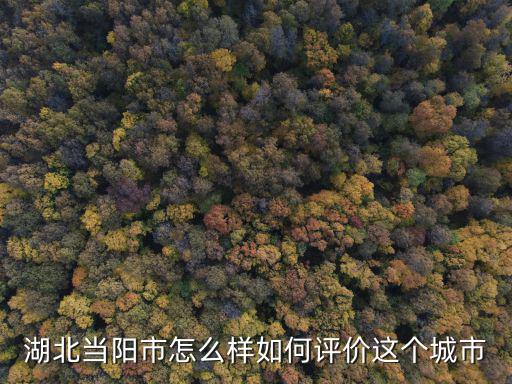 湖北當陽市怎么樣如何評價這個城市