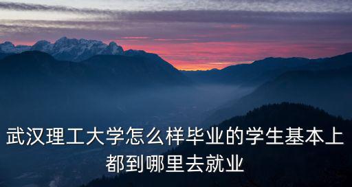 武漢理工大學(xué)怎么樣畢業(yè)的學(xué)生基本上都到哪里去就業(yè)