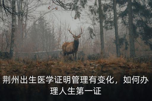 荊州出生醫學證明管理有變化，如何辦理人生第一證