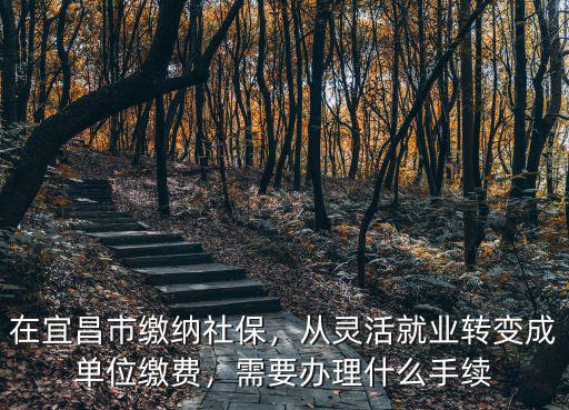 在宜昌市繳納社保，從靈活就業轉變成單位繳費，需要辦理什么手續