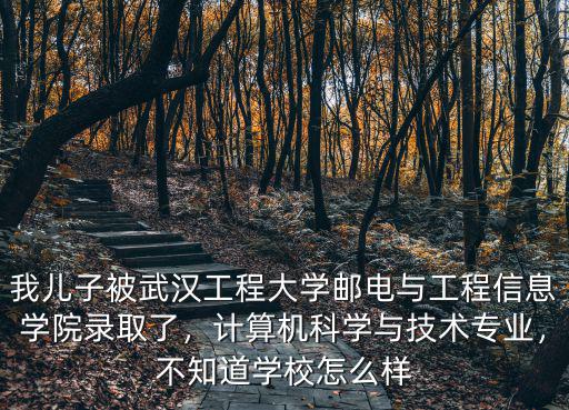 我兒子被武漢工程大學(xué)郵電與工程信息學(xué)院錄取了，計算機(jī)科學(xué)與技術(shù)專業(yè)，不知道學(xué)校怎么樣