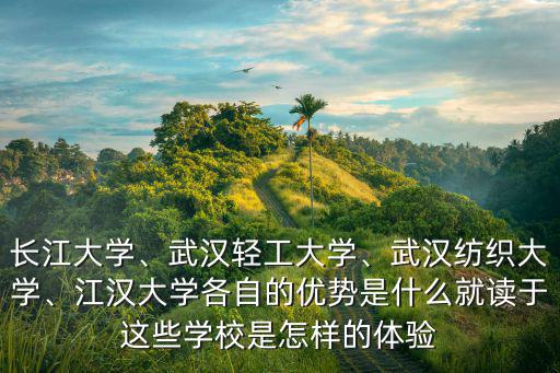 長(zhǎng)江大學(xué)、武漢輕工大學(xué)、武漢紡織大學(xué)、江漢大學(xué)各自的優(yōu)勢(shì)是什么就讀于這些學(xué)校是怎樣的體驗(yàn)