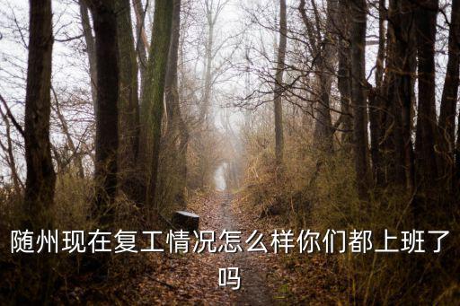 隨州現(xiàn)在復(fù)工情況怎么樣你們都上班了嗎